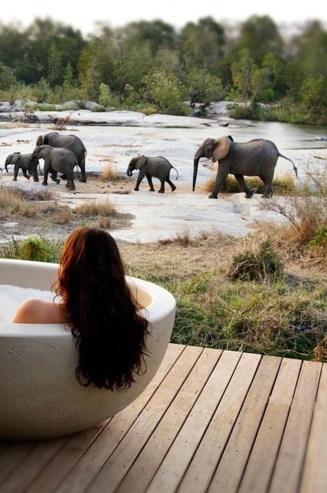 Spotting wildlife from a bathtub at Londolozi Granite Suites - Kruger National Park, South Africa jesseyjay9.wordpr... Luxury Safari Lodge, Honeymoon Places, Luxury Safari, Africa Do Sul, Safari Lodge, Romantic Honeymoon, Romantic Destinations, Out Of Africa, Kruger National Park