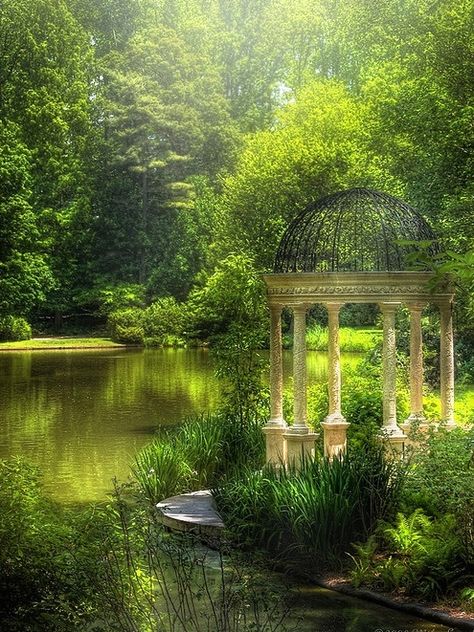 Serene beauty Longwood Gardens, Secret Gardens, Have Inspiration, A Pond, Green Forest, Lush Green, Dream Garden, Park City, Arbor