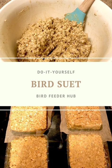 Popular recipes for making suet at home - grab some bulk ingredients, make a big batch, and save a little money!   #suet #woodpeckers #diy #birdfeeders #backyardbirds Diy Woodpecker Feeder, Woodpecker Feeder Diy, Bird Suet Recipes Homemade, Diy Suet, Diy Birdfeeders, Woodpecker Feeder, Suet Recipe, Suet Bird Feeder, Bird Suet