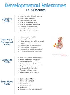 Peds OT Tips: Developmental Milestone Chart: 18 to 24-Months Developmental Milestones Toddlers, Developmental Milestones Chart, Milestone Chart, Toddler Milestones, Development Milestones, Pediatric Occupational Therapy, Toddler Classroom, Developmental Milestones, Toddler Development