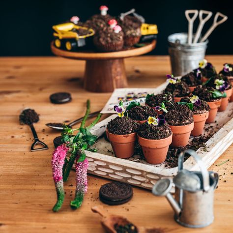 Make Your Own Dirt Cup Bar, Dirt Cake In Flower Pot, Dirt Cup Dessert, Garden Birthday Cake Ideas, Mini Dirt Cake Cups, Dirt Cake Cupcakes, Dirt Cake Cups, Dirt Cups Dessert, Adele Birthday