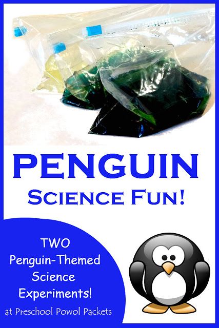 Penguin Science Experiment | Preschool Powol Packets Science Experiment Preschool, Experiment Preschool, Penguin Science, Science Experience, Pre-k Science, Penguin Activities, Winter Science, Science Experiments For Kids, Science Experiments For Preschoolers