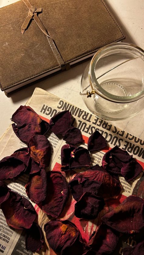 dried rose aesthetic romantic rose petals old bouquet love journal lover girl aesthetic romantic romance book date Dried Rose Petals Aesthetic, Wilted Rose Aesthetic, Rose Petal Aesthetic, Dried Rose Aesthetic, Dried Roses Aesthetic, Rose Petals Aesthetic, Old Romance Aesthetic, Lover Girl Aesthetic, Rose Bouquet Aesthetic