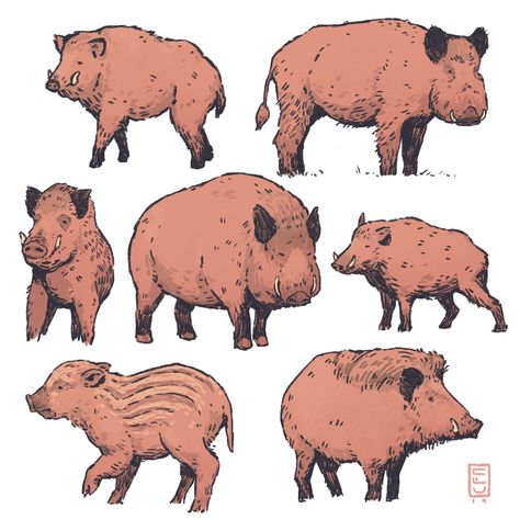 ArtStation - Boars made of Bark , Conner Fawcett Wolverine Art, Paleo Art, Love Drawing, Prehistoric Creatures, Creature Concept Art, Character Design Animation, Animal Sketches, Arte Animal, Animal Companions