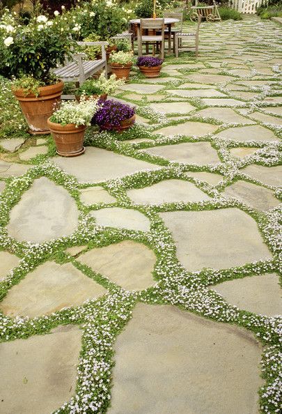 Pathway Landscaping, Low Maintenance Garden, Have Inspiration, Garden Cottage, Alam Semula Jadi, Ground Cover, Rock Garden, Garden Paths, Dream Garden