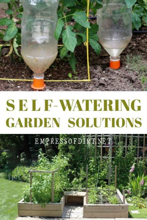 Practical self-watering planter and garden bed ideas for vacation and lazy summer days. #gardentips #selfwatering #empressofdirt Self Watering Garden, Watering Garden, Garden Solutions, Small Backyard Gardens, Self Watering Planter, Wildflower Garden, Garden Care, Self Watering, Flowers Garden