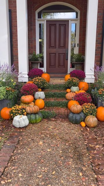 Front Porch With Stairs, Porch With Stairs, Pumpkin Porch Decor, Fall Flowers Garden, Mums In Pumpkins, Types Of Pumpkins, Front Porch Steps, Porch Stairs, Creeping Fig