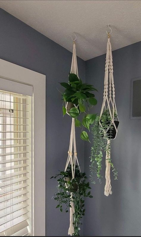 Art Macramé, Tattoo Plant, College Room Decor, Macrame Hanging Planter, Plants Wall, Hanging Plants Indoor, Pot Hanger, Cat Ideas, Macrame Hanger