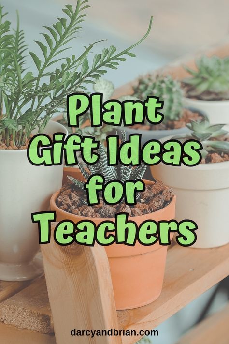 Discover the perfect way to show teachers gratitude with our inspiring guide to plant gifts! Find out how plants can symbolize growth and appreciation, alongside tips for personalizing your gift. Perfect for Teacher Appreciation Day, end-of-year thanks, or just because. Plant Gifts For Teachers, Giving Plants As Gifts, Teacher Plant Gift, Male Teacher Appreciation Gifts, Plant Gift Ideas, Teacher Gifts End Of Year, Gifts For Professors, Teacher Appreciation Gift Ideas, Appreciation Gift Ideas