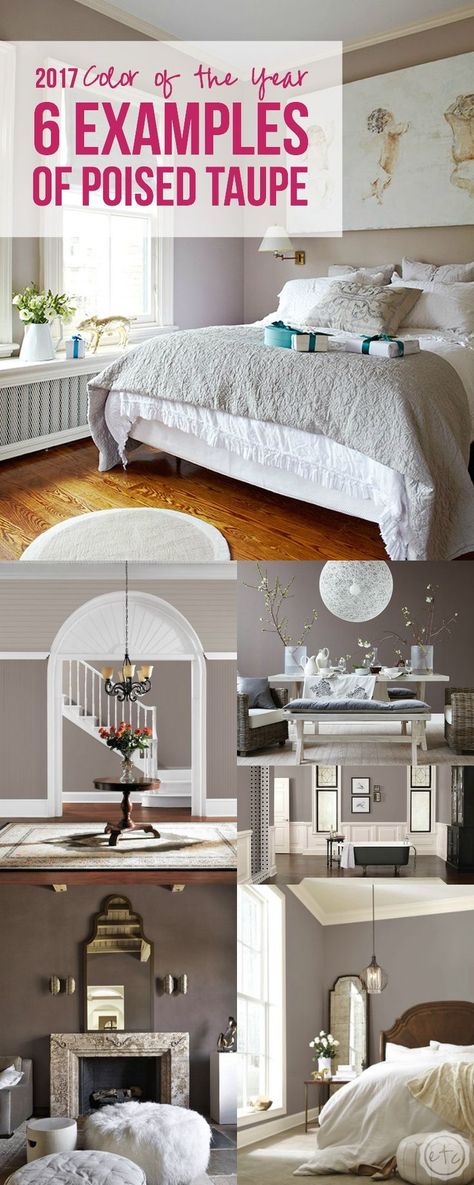 2017 Color of the Year, 6 examples of poised taupe Grey Bedroom Walls, Gray Bedroom Decor, Poised Taupe, Taupe Bedroom, Taupe Walls, Perfect Paint Color, Bedroom Walls, Grey Bedroom, Year 6