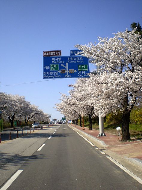 Korean Road, Light Scenery, Sokcho Korea, Seoraksan National Park, Korea Country, Korea Aesthetic, Living In Korea, Cityscape Art, Seoul Korea