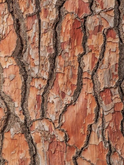 "Tree Bark Texture Pattern" iPhone Case & Cover by ind3finite | Redbubble Tree Bark Illustration, Tree Bark Pattern, Tree Bark Aesthetic, Dignity Collage, Texture Inspiration Textiles, Tree Bark Painting, Treehouse Illustration, Camo Spray Paint, Oak Tree Bark