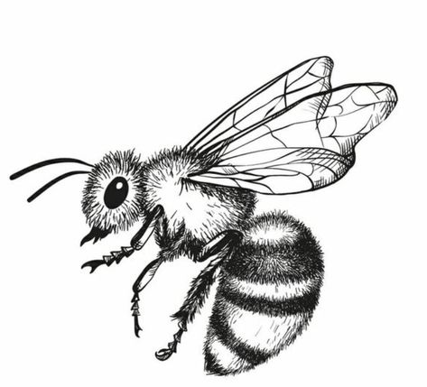 Vintage Bee Tattoo, Honeybee Tattoo, Honey Bee Drawing, Honey Bee Tattoo, Animal Tattoo Ideas, Bee Drawing, Insect Tattoo, Bee Painting, Bee Illustration