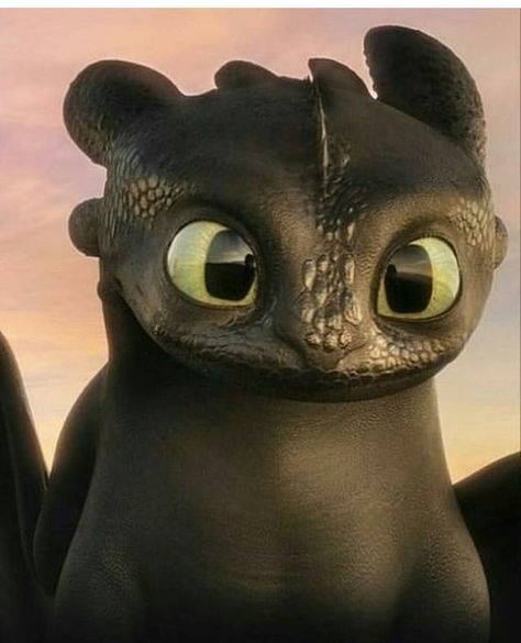 You can see Hiccup in his eyes!! 😭😍 Toothless And Stitch, Toothless Night Fury, Night Fury Dragon, Dragon Wallpaper Iphone, Httyd Art, Toothless Dragon, Hiccup And Toothless, 디즈니 캐릭터, Dreamworks Dragons