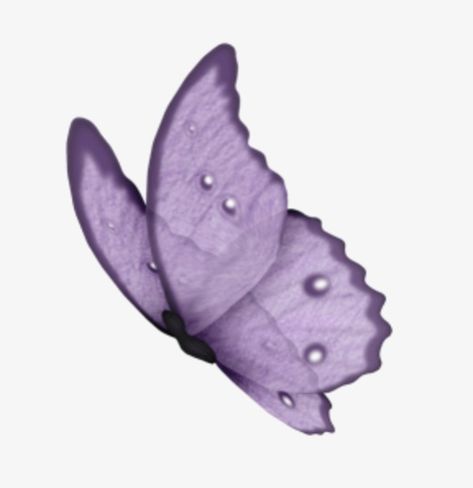 purple,butterfly,animal,Fluttering clipart,butterflies clipart,fluttering clipart,butterflies clipart Purple Paper Butterflies, Purple Butterfly Clipart, Purple Objects Aesthetic, Purple Butterfly Icon, Purple Butterfly Aesthetic, Purple Objects, Leavers Shirt, Shuffle Cutouts, Butterflies Png