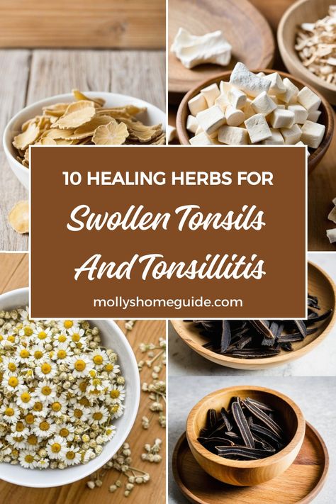 Discover natural relief for swollen tonsils and tonsillitis with these effective home remedies and herbal treatments. Ease discomfort and inflammation using herbs like chamomile, ginger, and licorice. Try a soothing herbal sore throat spray or natural remedy to alleviate symptoms. Support your immune system with homeopathic remedies tailored for tonsillitis. Learn how to reduce swollen lymph nodes naturally and heal bacterial tonsillitis without antibiotics. Explore holistic approaches to managi Herbal Throat Lozenges, Herbs For Lymph Nodes, Natural Remedies For Tonsillitis, Herbal Tylenol Alternative, Apothecary Supplies, Smokeable Herbs, Sore Throat Spray, Homeopathic Recipes, Swollen Tonsils