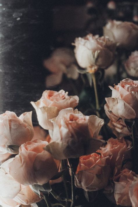 Vogue Vintage, Earthy Aesthetic, Rose Images, Romantic Lighting, Vintage Theme, Picture Collage, Aesthetic Images, Retro Aesthetic, Nature Images