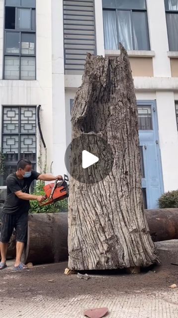 Tree Trunk Ideas Diy, Tree Carving Ideas, Log Sculpture, Determined Expression, Chainsaw Sculpture, Chainsaw Wood Carving, Wood Carving Art Sculpture, Chinese Warrior, Sculpture Wood