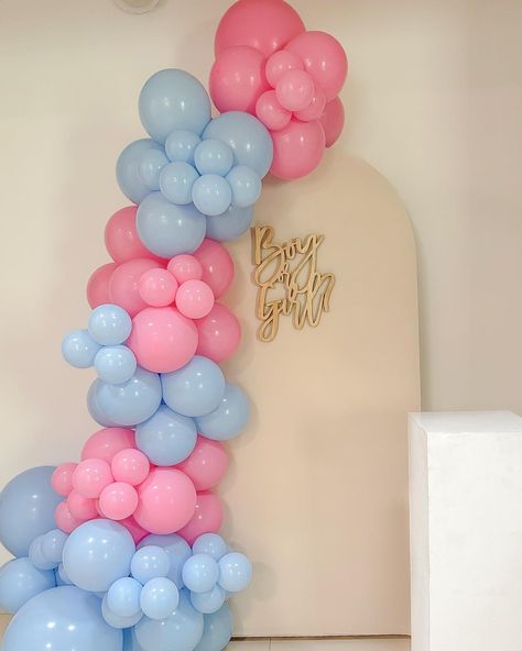 Boy or Girl? Classic gender reveal backdrop 💙🩷 #cuddlesandcandles_ #cuddlesandcandlesevents #genderreveal #babyshower #backdrop #babyshowerbackdrop Gender Reveal Decorations Backdrops, Gender Reveal Balloon Ideas, Gender Reveal Backdrop Ideas, Gender Reveal Backdrop, Pregnancy Checklist, Sand Candles, Gender Reveal Balloons, Gender Reveal Party Decorations, Gender Reveal Decorations