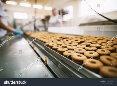 Cookie factory, food industry. Fabrication. Cookie production. Royalty Free image photo Factory Photography, Cookie Factory, Food Factory, Food Industry, Royalty Free Photos, Free Image, Photography Inspiration, Photo Editing, Photo Image