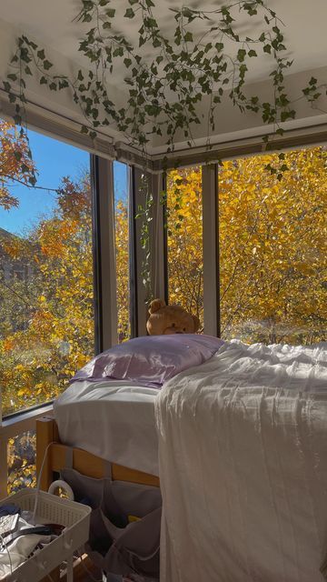 MAIQI 麦琪 on Instagram: "still can’t believe i wake up to this view every day 🍂🤩🍁 — #northeastern #northeasterndorm #collegedorm #dormtour #boston #bostonautumn #bostoncolleges #glassbox #roomwindow" Northeastern Dorm, Dream School, I Wake Up, Window Room, West Village, Glass Boxes, Dog Houses, College Dorm, Wake Me Up