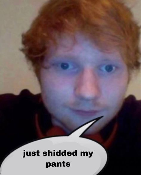 Ed Sheeran Memes, Ed Sheeran Facts, Meme Chat, Ed Sheeran Love, Snapchat Funny, Pinterest Memes, Funny Profile Pictures, Fb Memes, Ed Sheeran