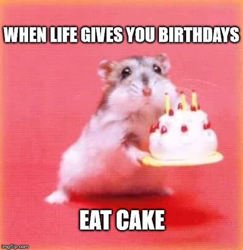 When life gives you birthdays, eat cake.                                                                                                                                                                                 More Belated Birthday Wishes, Happy 17th Birthday, Cute Happy Birthday, Happy Belated Birthday, Happy Birthday Meme, Happy Birthday Pictures, Happy Birthday Funny, Funny Happy Birthday, Belated Birthday