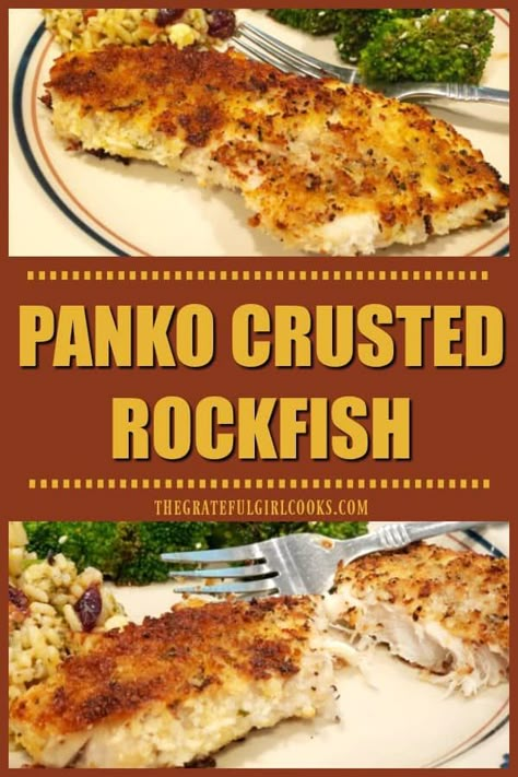 You'll enjoy this simple, delicious recipe for panko crusted rockfish! Fish fillets are seasoned, coated with crispy panko crumbs, and pan-seared. / The Grateful Girl Cooks! Pan Fried Rock Fish Recipe, Baked Striper Fish Recipes, How To Cook Rock Fish, Rick Fish Recipes, Fried Fish With Panko Crumbs, Fried Striper Fish Recipes, Rock Fish Fillet Recipe, Rock Bass Fish Recipe, Air Fryer Rock Fish