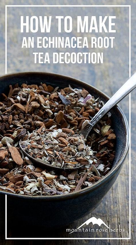 Roasted Dandelion Root, Tea Blends Recipes, Echinacea Benefits, Echinacea Tea, Healthy And Unhealthy Food, Herbal Medicine Recipes, Healing Tea, Herbal Teas Recipes, Herbal Tinctures