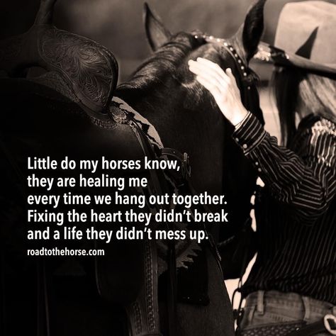 Horse Poems, Equestrian Workout, Rodeo Quotes, Equine Quotes, Western Quotes, Inspirational Horse Quotes, Horse Riding Quotes, Equestrian Quotes, Cowboy Quotes