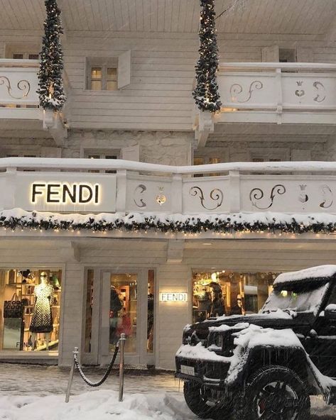 Fendi Aesthetic, Aesthetic Baby, High End Brands, Winter Love, Life Vision Board, Life Vision, Aesthetic Board, Winter Baby, Success Motivation