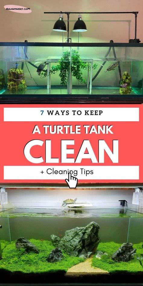 Turtle Tank Cleaning Hacks, Outdoor Turtle Habitat Diy Pond Ideas, Yellow Bellied Slider Habitat, Diy Aquatic Turtle Habitat, Aquatic Turtle Habitat Ideas Indoor, Turtle Homes Ideas, Aquatic Turtle Tank Ideas, Indoor Turtle Pond, Turtle Tank Setup Ideas