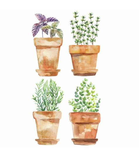 RoomMates Wall Decals Watercolor Potted Herbs | JOANN Potted Herbs, Peel And Stick Wall Decals, Watering Pot, Herb Pots, Fourth Wall, Water Colors, Instagram Ideas, Joanns Fabric And Crafts, Painting Inspiration