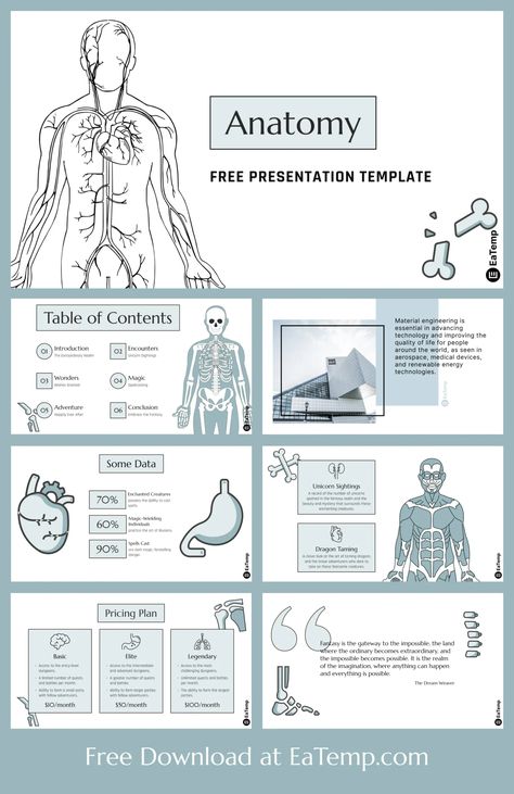 Unique Anatomy PowerPoint Template is a creative & modern design with 40 unique slides. Perfect for medical presentations, scientific conferences, and educational Visual Aids Ideas For Presentations, Google Slides Ideas, Slide Themes, Google Slide Templates, Ap Us History, Presentation Ideas For School, Ppt Template Design, Free Powerpoint Presentations, Presentation Slides Design