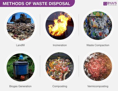 Garbage In Garbage Out, Solid Waste Management, Biodegradable Waste, Types Of Waste, Construction Waste, Industrial Waste, Hazardous Waste, Greenhouse Effect, Solid Waste