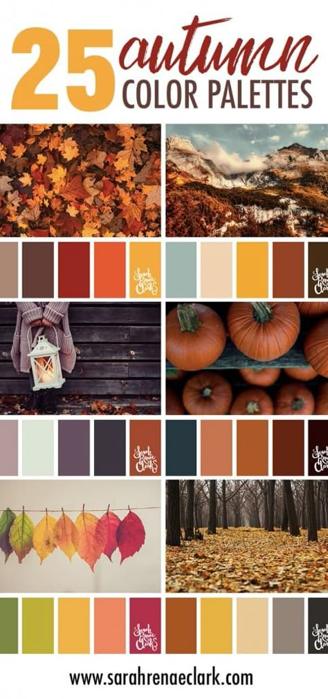 Color Pallets Inspiration For Home, Fall Cookie Color Palette, Autumn Decor Color Palette, Orange Wood Color Palette, Fall Color Palette Home, Fall Palette Colour Schemes, Fall Decor Color Schemes, Fall Color Bedroom Ideas, Fall Color Pallettes