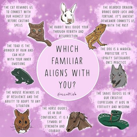 Witchcraft Community on Instagram: “🐸 What is your imagined familiar? 🐴 : This post is for all of us that don’t have a familiar and want to calm one in, or those of us that…” Familiars Witch Animal, Find Your Familiar, Witch Familiar Animals, Magical Familiar, Witch Familiar, Magic Practice, Animal Meanings, Witches Familiar, Animal Spirit Guides