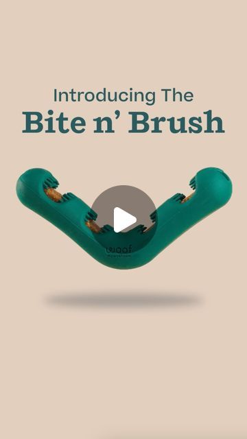 Woof Pet Inc on Instagram: "The Bite n’ Brush is officially here! 🪥The pre-launch sold out in 8 hours—get yours now & let your dog brush their own teeth!

Make tooth brushing a breeze with the dental toy dogs love!

Head to our #linkinbio to grab your own!" Tooth Brushing, Dog Brush, Toy Dogs, Dog Brushing, Dogs Love, Brushing, Dog Love, Dog Toys, Brushing Teeth