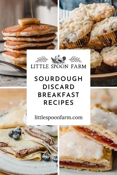 Sour Dough Pancakes Recipe, Best Sourdough Cookbooks, Simple Sourdough Discard Pancakes, Sharing Sourdough Starter, Sour Dough Discard Breakfast Recipes, Sourdough Discard No Wait, Sour Dough Recipes Using Starter, Sourdough Breakfast Recipes Healthy, Sour Dough Breakfast Recipes