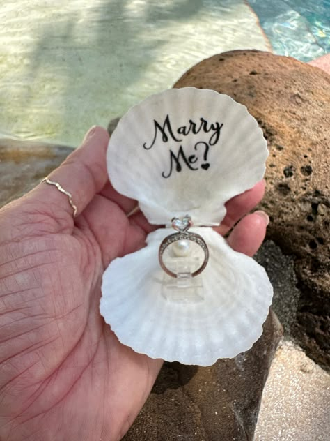 "Proposal seashell ring box,beach ring holder,getting engaged ring holder, unique ring holder,proposal seashell, will you marry me, anniversary gift Beach proposal white seashell ring holders are fresh out of the ocean! These round white textured fan paired seashells were especially made due to numerous requests for THE MOST NATURAL look --in order to make the greatest impact and surprise for a beach proposal. They are made with gorgeous yet  shells.. Each is unique and they are not perfect- whi Engaged Ring, Kule Ting, Seashell Ring, Beach Proposal, Ring Holders, Cute Couple Gifts, Killing Eve, Dream Wedding Ideas Dresses, Future Wedding Plans