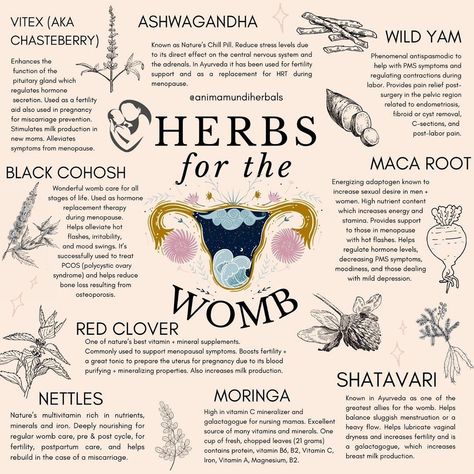 A N I M A M U N D I Apothecary on Instagram: “✨ Healing herbs for the womb 🌚✨and beyond! Raise your (🌿) if you love these powerful plant allies! Many, many others not mentioned that…” Menulis Novel, Fertility Help, دورة شهرية, Womb Healing, Medical Herbs, Magia Das Ervas, How To Regulate Hormones, Magic Herbs, Menstrual Health