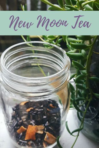 New Moon Tea Blend Recipe | The Witch of Lupine Hollow New Moon Tea, Moon Tea, Tea Blends Recipes, Kitchen Witch Recipes, Moon Magick, Homemade Tea, Herbal Teas Recipes, Herbal Recipes, Tea Diy