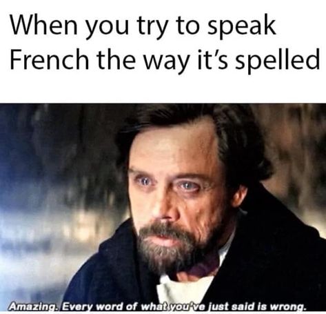 French Meme, Funny French, Teacher Memes, Memes Sarcastic, I Apologize, School Memes, How To Speak French, Very Funny Jokes, Crazy Things To Do With Friends