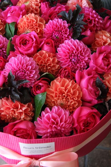 Really, How Shocking That I Like This, Tis Pink and Coral, That's Why. Deco Floral, Arte Floral, Birthday Flowers, English Garden, Flower Beauty, Beautiful Blooms, Flower Boxes, Orange Flowers, Love Flowers