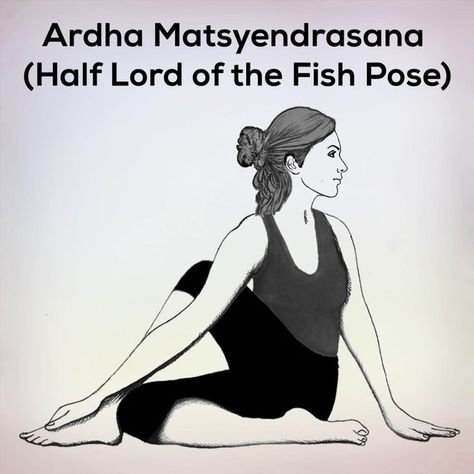 Ardha Matsyendrasana | Half Lord of the Fish Pose, when done regularly helps to strengthen the spine and stimulate the digestive system. See Ardha Matsyendrasana drawing in this post and know more about Ardha Matsyendrasana meaning | Bhujangasana steps #Ardhamatsyendrasanabenefits #ardhamatsyendrasana #yoga #yogapractice #yogainspiration Ardha Matsyendrasana, Pelvic Region, Fish Pose, Corpse Pose, The Digestive System, Baby Poses, Kundalini Yoga, Word Pictures, Yoga Asanas