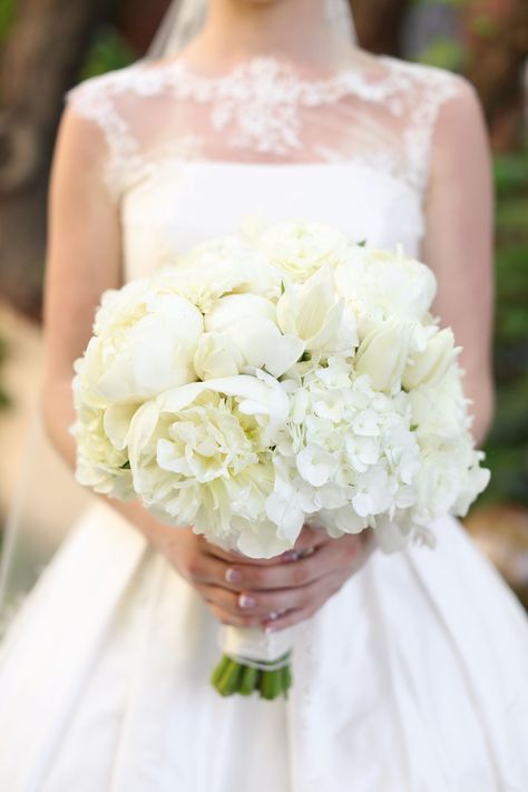 Tulip And Hydrangea Wedding Bouquet, Hydrangea White Bouquet, Tulip Hydrangea Bouquet, Blue Hydrangea And Peony Bouquet, Peonies Bride Bouquet, Peony Hydrangea Bouquet, Hygrandea Bouquet, White Wedding Bouquets Hydrangea, Hydrangea Peony Bouquet