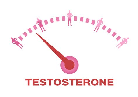 Healthy Testosterone Levels in Men: How to Increase Testosterone Levels the Natural Way Increase Testosterone Naturally, Ways To Increase Testosterone, Testosterone Therapy, Liver Issues, Increase Testosterone Levels, High Testosterone, Increase Testosterone, Increase Muscle Mass, Art Of Manliness