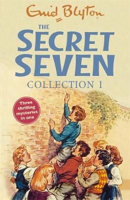 Secret Seven, Famous Five, Enid Blyton Books, The Famous Five, Enid Blyton, Childhood Books, Girls Series, Childrens Stories, My Childhood