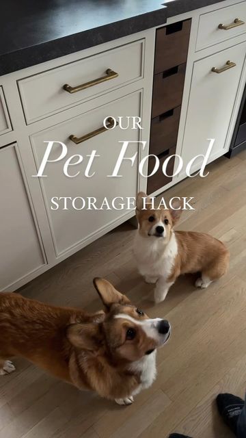 Tilt Out Dog Food Storage, Dog Food And Treat Storage, Dog Food Station In Kitchen, Dog Food Containers Storage Ideas, Pet Food Storage Cabinet, Dog Bowl In Kitchen, Dog Food Set Up Ideas, Cute Dog Food Storage, Pantry With Dog Food Storage