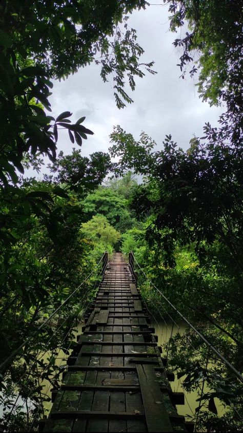 Explore🌿 This bridge is located in Cherupuzha, Payyanur (Kannur, Kerala) #Nature #Bridge #HangingBridge #ExploretheNature Kerala Locations, Kannur Aesthetic, Kannur Photography, Outfit Gender Reveal, Dress Gender Reveal, Pallet Furniture Outdoor Couch, Kerala Aesthetic, Nature Bridge, Kerala Nature